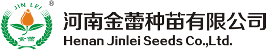 集成灶加盟